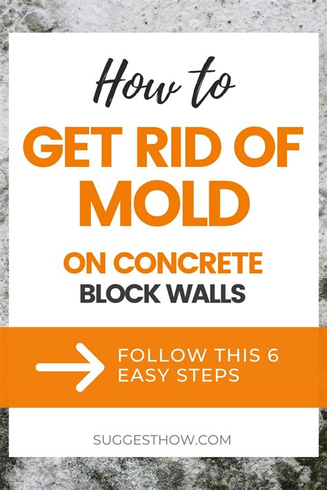 Removing mold from drywall or ceilings. How to Get Rid of Mold on Concrete Block Walls - Step by ...