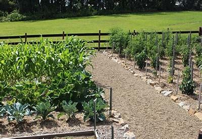 Here are the different segments that help you to plan the area for the different garden designs and layouts, including plants. Garden Planning - How To Plan This Winter For A Great ...