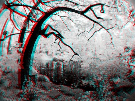 3d Anaglyph Stereoscopic Photo Views