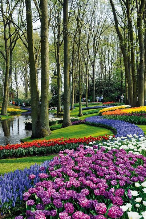 Jardins Paisagens Lindas Com Flores Al M De Serem O S Mbolo Nacional Da