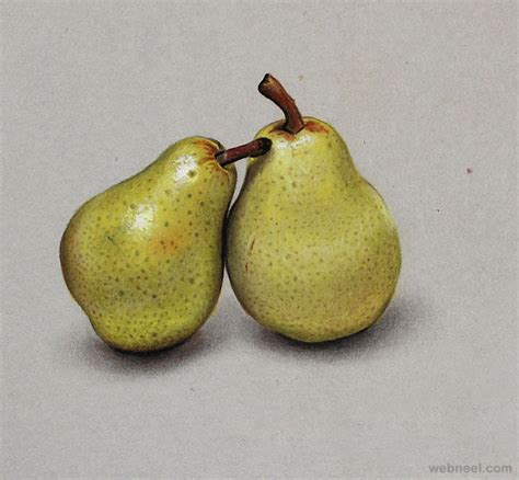 Pears Realistic Drawing By Marcello Barenghi 9