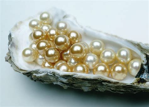 Types Of Pearls Used In Antique And Vintage Jewelry