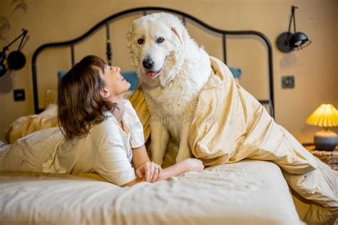 Woman Plays With Her Dog While Lying Together On Bed Stock Image