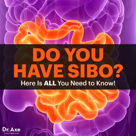 The Primary Symptoms Of Sibo The Health Coach