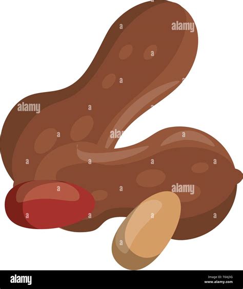 Nuts Natural Food Cartoon Stock Vector Image And Art Alamy