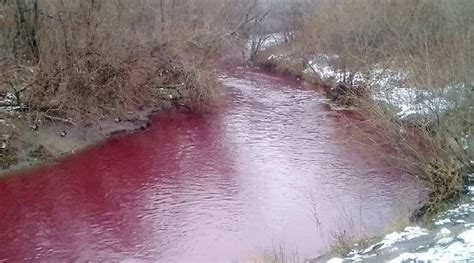 River In Russia Mysteriously Turns Blood Red Animals Refuse To Enter