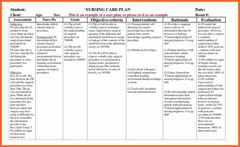 Home Care Service Plan Template