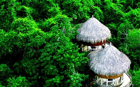Ecohabs Santa Marta Hotels In Tayrona National Park Colombia