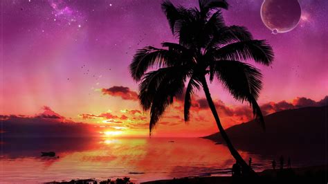 2560x1440 Palm Tree Tree Evening 1440p Resolution Wallpaper Hd