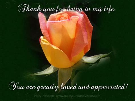 Thank You For Being In My Life Free Flowers Ecards Greeting Cards