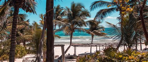 Download Wallpaper 2560x1080 Beach Palms Summer Tropics