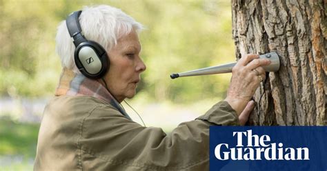 Judi Dench My Passion For Trees Review From Woodland Stethoscopes To