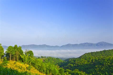 Sea Of Fog Among The Namprao Valleyphraethailand Stock Photo Image