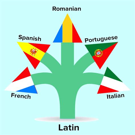 What Languages Are Based In Latin Learn Latin Language Online