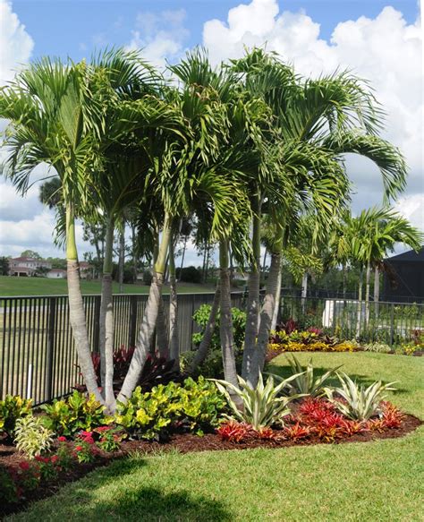 Florida Landscaping Florida Gardening Tropical Landscaping Modern