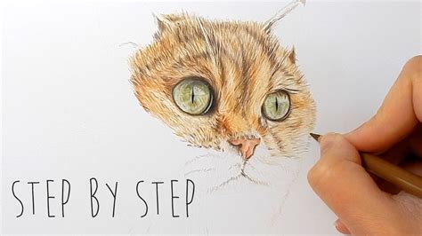 Step By Step How To Draw Color Realistic Cat Fur And Nose With