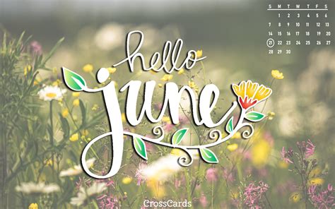 June 2020 June Flowers Calendar Wallpaper Desktop Wallpaper Summer