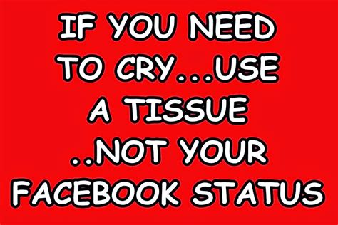 Silly Facebook Statuses Whatsapp Status Quotes