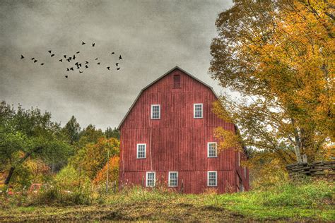 Red Barn In Fall Woodstock Vermont Photograph By Joann Vitali