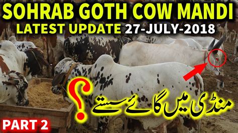 In singapore and malaysia it is known. COW MANDI SOHRAB GOTH LATEST UPDATE 27 JULY 2018 Part 2 ...