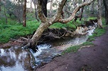 Whistlepipe Gully Walk (Mundy Regional Park) ~ The Long Way's Better