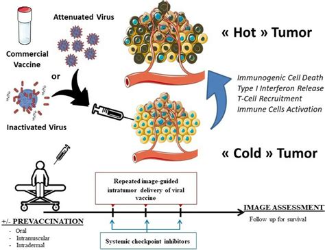 Repurposing Infectious Disease Vaccines For Intratumoral Immunotherapy