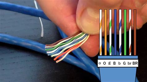 Cat5 Cable Rj45 Wiring