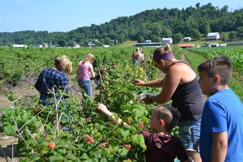 All sport psychology masters courses (56 courses listed). Lowell's Wagner farm sees bumper self-pick crop | News ...