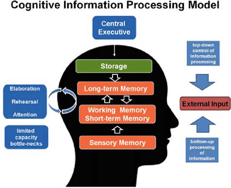 A Wellillustrated Overview On The Information Processing Theory