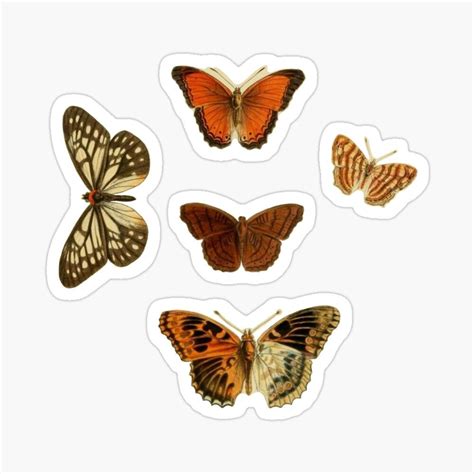 Butterfly Bundle Sticker By Maximusfield Beautiful Stickers Sticker