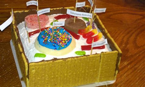Edible Model Of A Plant Cell Biological Science Picture