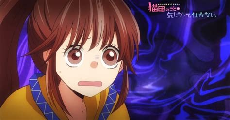 東京卍リベンジャーズ / tokyo manji revengers / tokyo revengers / tokyo卍revengers / toukyou revengers. Nekota no Koto ga Ki ni Natte Shikatanai.'s 1st Short Episode Aired - News - Anime News Network