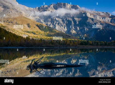 Lac De Derborence Switzerland Canton Of Valais Lake Mountain Lake