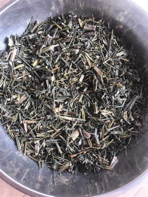Maybe you would like to learn more about one of these? Xuyên tâm liên kháng sinh điều trị viêm xoang, viêm phế quản