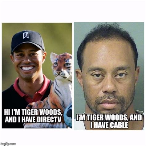 tiger woods wife meme