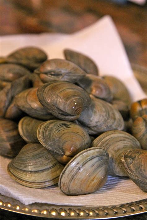 Add clams and remaining butter. Bossy Italian Wife : Tips for Cooking Fresh Clams