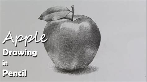 Tree drawing step by step. How to Draw An Apple in Pencil | step by step how to use ...
