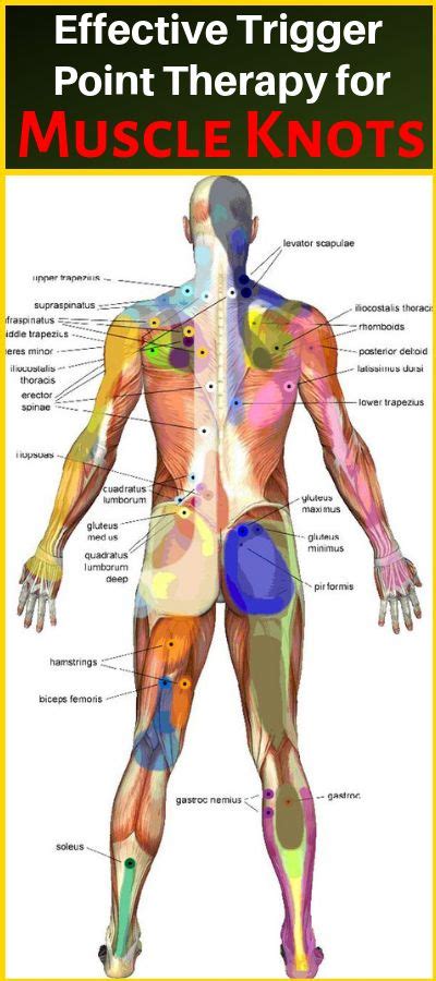 Effective Trigger Point Therapy For Muscle Knots Healthy National Massage Therapy Trigger