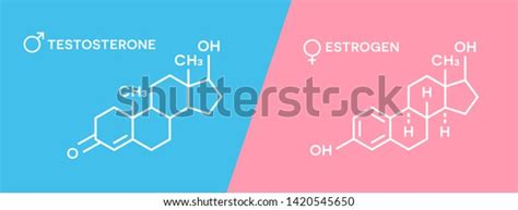 Estrogen Testosterone Hormones Symbol Sex Hormones Stock Vector Royalty Free 1420545650