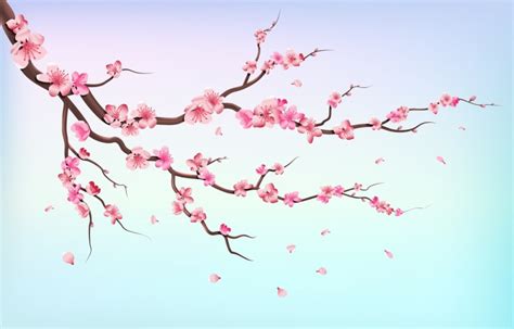 Japan Sakura Branches With Cherry Blossom Flowers And Falling Petals I