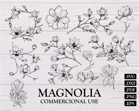 Free 156 Magnolia Flower Svg Free Svg Png Eps Dxf File Free Svg Cut Files