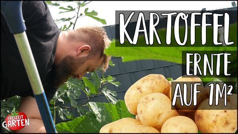 Kartoffel Ernte Auf M Feld Top Oder Flop Freizeit Garten Youtube