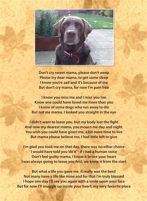 Dog Bereavement Poem Dedicated To My Beautiful Emmy Who Passed Away