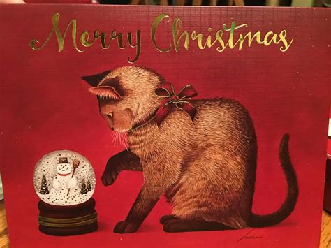 Top 10 Boxed Cat Christmas Cards 2022