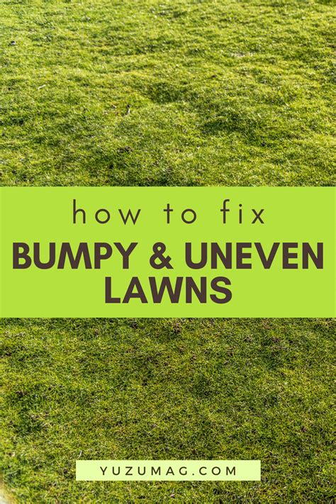 Want a smooth, even and beautiful lawn? Pin on Lawn Care
