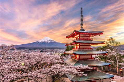 Amazing Fuji Temple View Beamazed