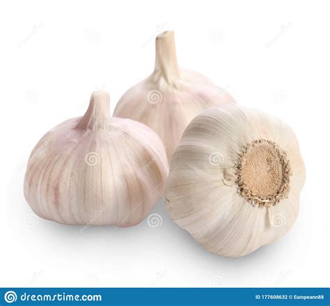 Fresh Whole Garlic Bulbs Stock Photo Image Of Spice 177608632