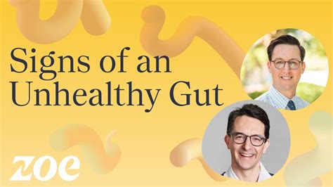 Signs Of An Unhealthy Gut Dr Will Bulsiewicz YouTube