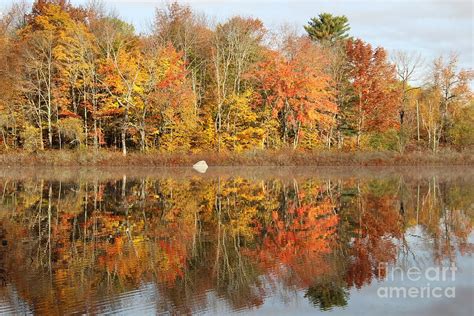 Lake George Canaan Maine Fall Colors Reflection Photograph By Colleen