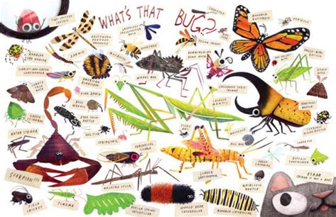 Some Bugs By Angela Diterlizzi Brendan Wenzel Hardcover Barnes